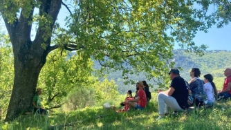 Passeggiata meditativa con gli Alberi