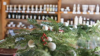 NATALE CON REMEDIA - Appuntamento con la Natura