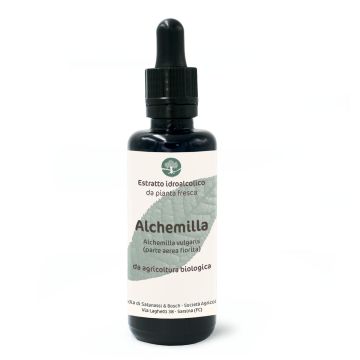 Alchemilla (Alchemilla vulgaris, parte aerea fiorita) – estratto idroalcolico