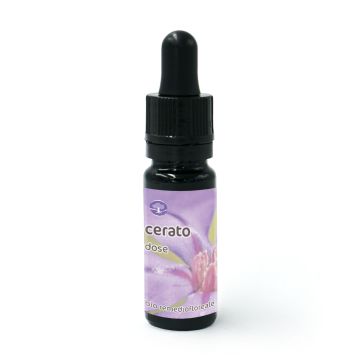 Cerato - Dosis