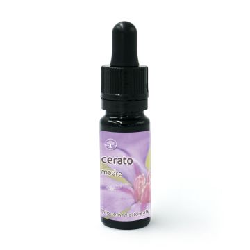 Cerato - Fiore di Bach – Madre (da diluire)