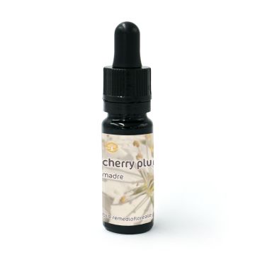 Cherry Plum - Urtinktur