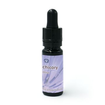 Chicory - Dosis