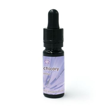 Chicory - Fiore di Bach – Dose 