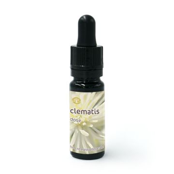 Clematis - Dosis