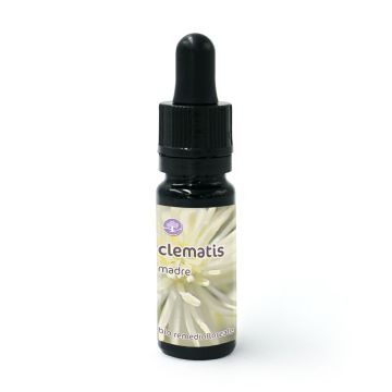 Clematis - Fiore di Bach – Madre (da diluire)