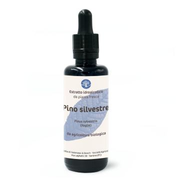 Pino silvestre (Pinus sylvestris, foglie) – estratto idroalcolico