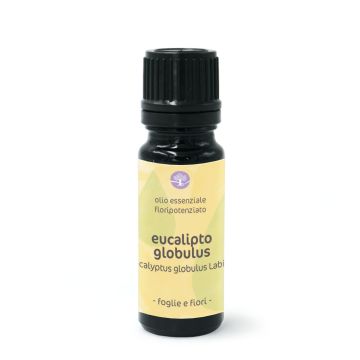 Eucalipto globulus - olio essenziale floripotenziato