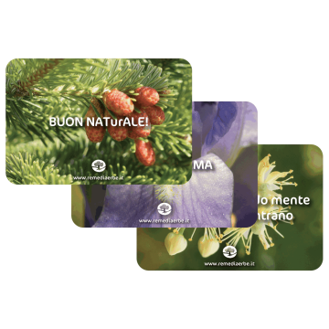 Feste - Gift Card
