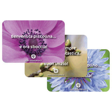 Nascita - Gift Card