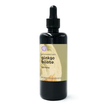 Ginkgo biloba, gemme – gemmoderivato di Ginkgo