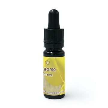 Gorse - Fiore di Bach – Madre (da diluire)