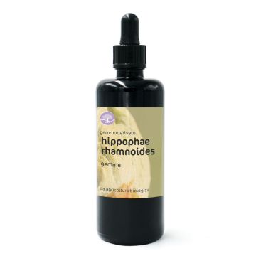 Hippophae rhamnoides, gemme – gemmoderivato di Olivello spinoso
