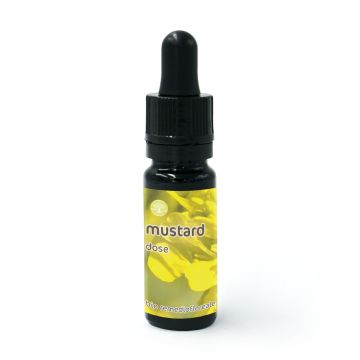 Mustard - Dosis