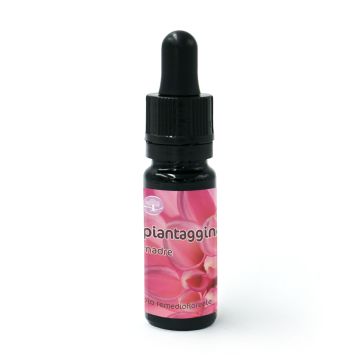 Piantaggine - rimedio floreale del territorio - Madre (da diluire)