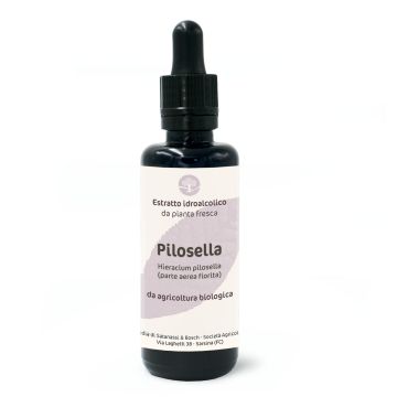 Pilosella (Hieracium pilosella, pianta fiorita) – estratto idroalcolico