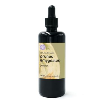 Prunus amygdalus, gemme – gemmoderivato di Mandorlo