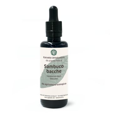 Sambuco bacche (Sambucus nigra, bacche) – estratto idroalcolico