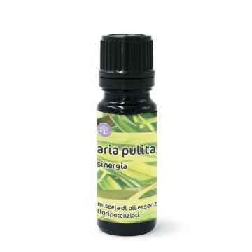 Sinergia Aria pulita – oli essenziali