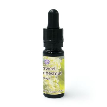 Sweet Chestnut - Fiore di Bach – Dose 