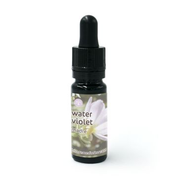Water Violet - Fiore di Bach – Madre (da diluire)
