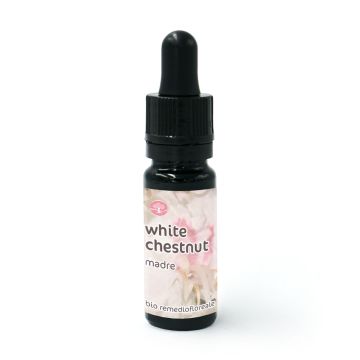 White Chestnut - Fiore di Bach – Madre (da diluire)
