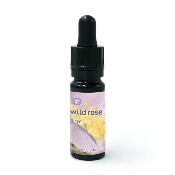 Wild Rose - Fiore di Bach – Dose 