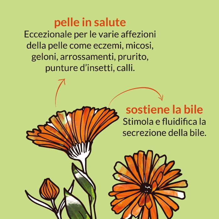 Calendula (Calendula officinalis, fiori) – estratto idroalcolico