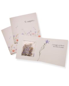 Biglietto di auguri