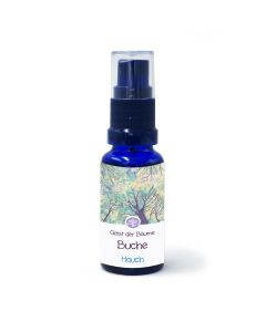 Geist der Buche - Hauch