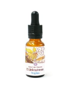 Geist der Edelkastanie - Tropfen