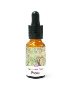 Spirito del Faggio – gocce