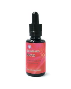 Floressenza Forza – miscela di fiori californiani