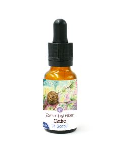 Spirito del Cedro – gocce