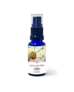 Spirito del Cedro – soffio, spray per l'aura