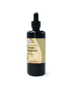Ribes nigrum, gemme – gemmoderivato di Ribes nero