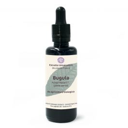 Bugola (Ajuga reptans L., parte aerea) – estratto idroalcolico