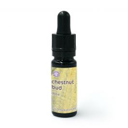 Chestnut bud - Fiore di Bach – Dose 