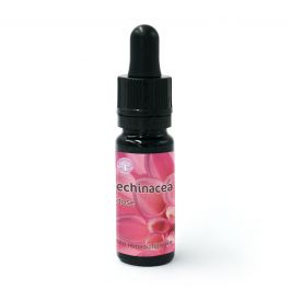 Echinacea - Dose