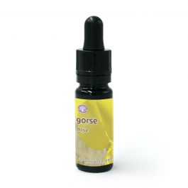 Gorse - Dose - Fiore di Bach