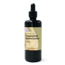 Hippophae rhamnoides, gemme – gemmoderivato di Olivello spinoso
