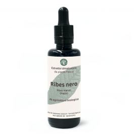 Ribes nero (Ribes nigrum, foglie) – estratto idroalcolico