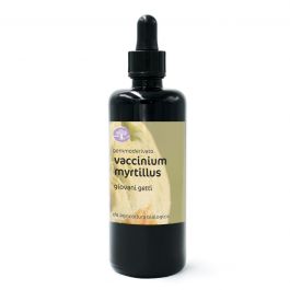 Vaccinium myrtillus - Giovani getti