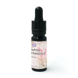 White Chestnut - Fiore di Bach – Dose 