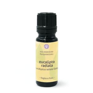 Eucalipto radiata - olio essenziale floripotenziato