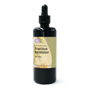 Fraxinus excelsior, gemme – gemmoderivato di Frassino