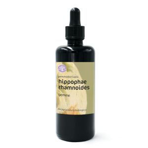 Hippophae rhamnoides, gemme – gemmoderivato di Olivello spinoso