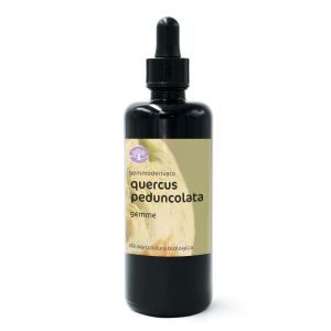 Quercus peduncolata, gemme – gemmoderivato di Quercia