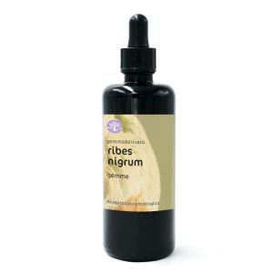 Ribes nigrum, gemme – gemmoderivato di Ribes nero