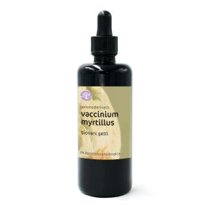 Vaccinium myrtillus, giovani getti – gemmoderivato di Mirtillo nero